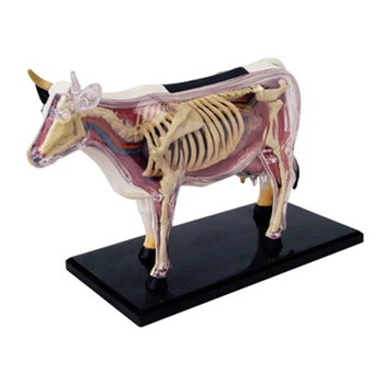 Анатомическая модель органов животных, 4D игрушка для сборки интеллекта коровы, Обучающая анатомическая модель, Научно-популярная техника 