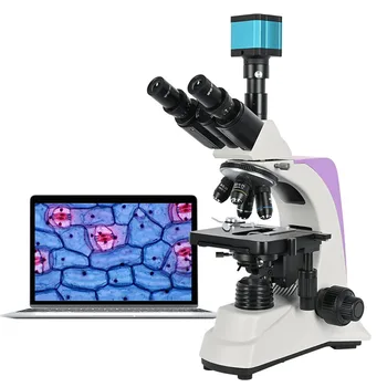 зум 2500X HD электронный цифровой Микроскоп Тринокулярный Биологический лабораторный составной светодиодный 16MP CCD Камера USB бинокулярный BM-500T-3