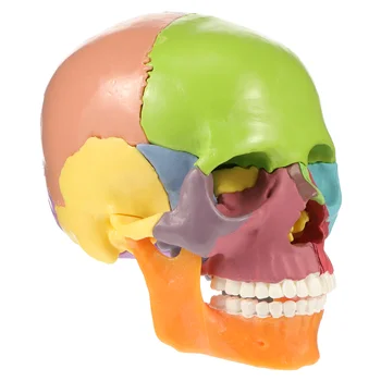 Имитация медицинской статуэтки черепа в форме орнамента из ПВХ Модель декора