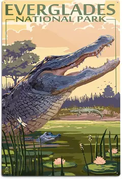 Национальный парк Эверглейдс, Флорида, Сцена с аллигатором, Живописная серия (рисунок из алюминия 12x18, Декор металлической вывески внутри и снаружи помещений)