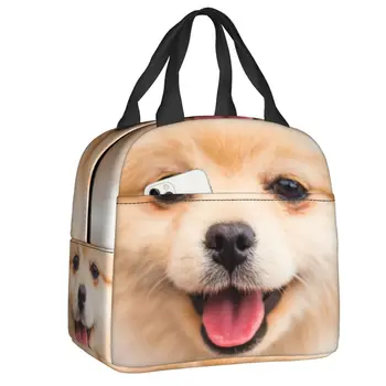 Симпатичная Золотистая Померанская собака, Изолированная сумка для ланча для кемпинга, путешествий, подарков для щенков, подарков для влюбленных, охладителя, тепловой коробки для ланча Для женщин и детей