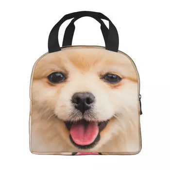 Симпатичная Золотистая Померанская собака, Изолированная сумка для ланча для кемпинга, путешествий, подарков для щенков, подарков для влюбленных, охладителя, тепловой коробки для ланча Для женщин и детей Изображение 2