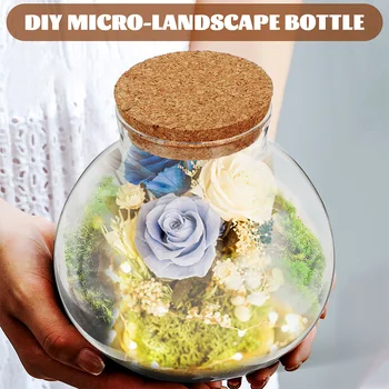 Стеклянная микро-ландшафтная бутылка, террариум для суккулентных воздушных растений, пробковый контейнер 