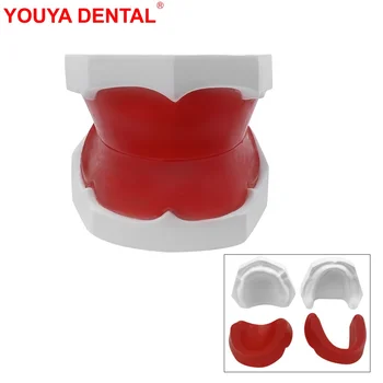 Стоматологический Воск Модель зуба Стоматология Беззубый Гипс Модель Зубов Стоматологическая форма Гипсовая основа для изучения Преподавания практики