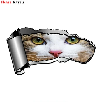 Три Ratels FTC-856 # 20x10,8 см Разорванная Рана, Порванный Металлический Дизайн С Милой Кошачьей Мордочкой Котенка, Выглядывающими Глазами, Внешняя Наклейка На Автомобиль Изображение 2